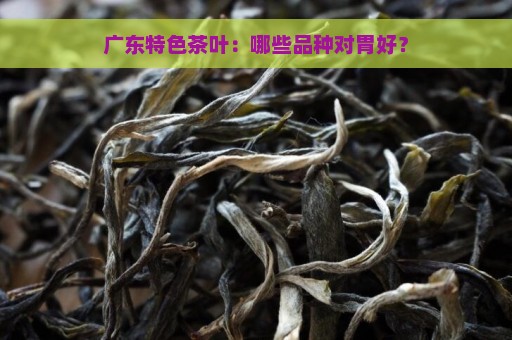 广东特色茶叶：哪些品种对胃好？