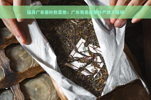 探寻广东茶叶的圣地：广东有名的茶叶产地大揭秘