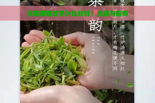 泡茶用哪些茶叶比较好：选择与指南