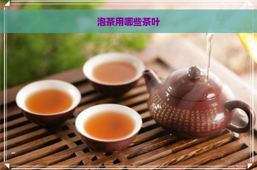 泡茶用哪些茶叶