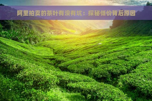 阿里拍卖的茶叶有没有坑：探秘低价背后原因