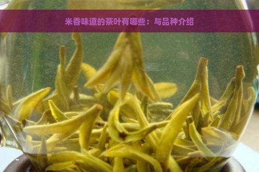 米香味道的茶叶有哪些：与品种介绍