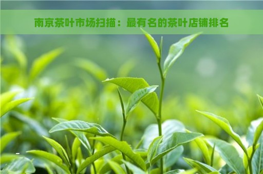 南京茶叶市场扫描：最有名的茶叶店铺排名