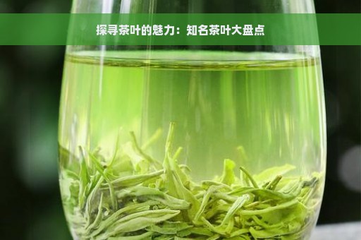 探寻茶叶的魅力：知名茶叶大盘点