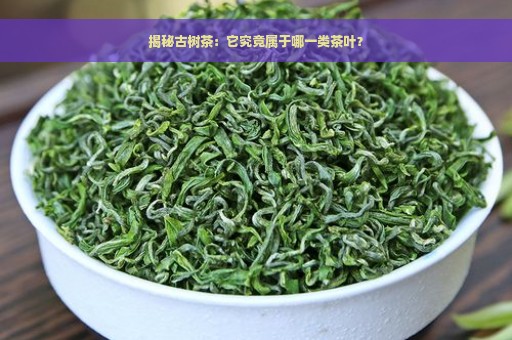 揭秘古树茶：它究竟属于哪一类茶叶？