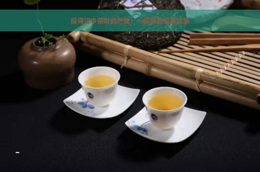 探寻汉中茶叶的产地：一杯茶的起源故事