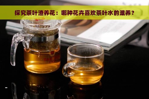 探究茶叶渣养花：哪种花卉喜欢茶叶水的滋养？