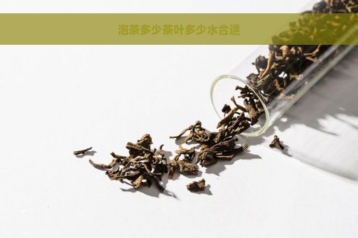 泡茶多少茶叶多少水合适