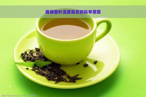 揭秘茶叶洗茶背后的科学原因