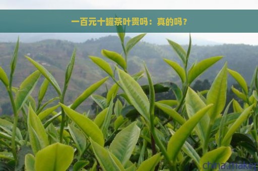 一百元十罐茶叶贵吗：真的吗？