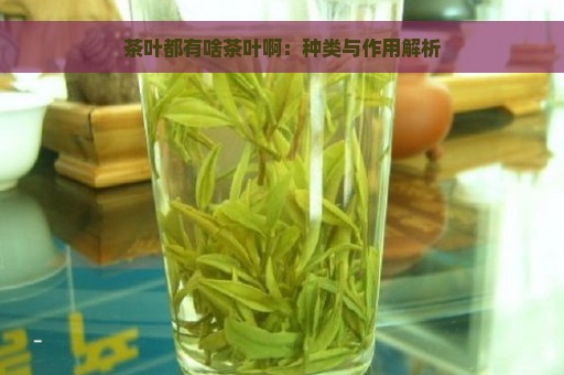 茶叶都有啥茶叶啊：种类与作用解析