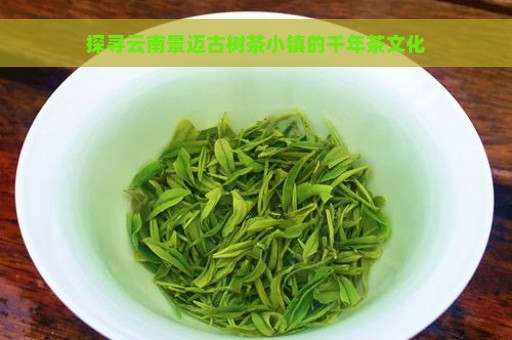 探寻云南景迈古树茶小镇的千年茶文化