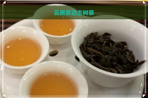 云南景迈古树茶