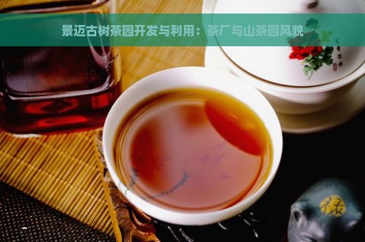 景迈古树茶园开发与利用：茶厂与山茶园风貌