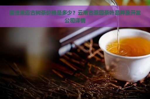 澜沧景迈古树茶价格是多少？云南古茶园茶叶品种及开发公司详情