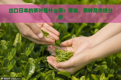 出口日本的茶叶是什么茶：茶类、茶种及市场分析