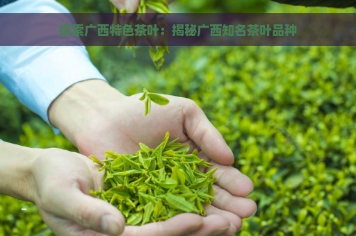 探索广西特色茶叶：揭秘广西知名茶叶品种