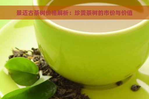 景迈古茶树价格解析：珍贵茶树的市价与价值