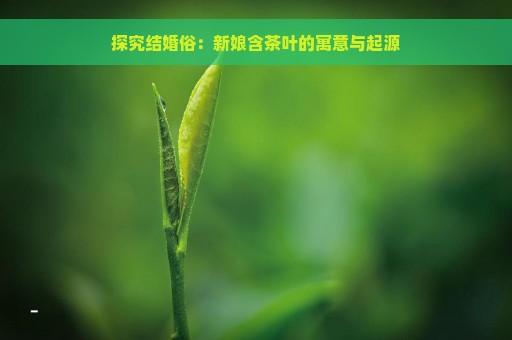 探究结婚俗：新娘含茶叶的寓意与起源