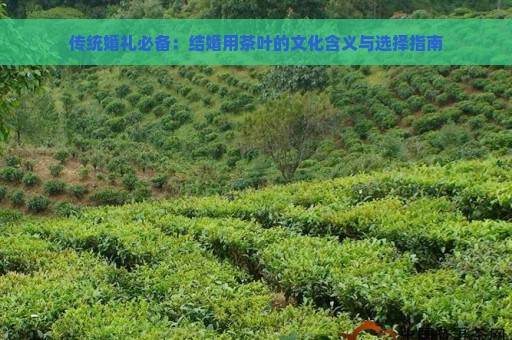 传统婚礼必备：结婚用茶叶的文化含义与选择指南