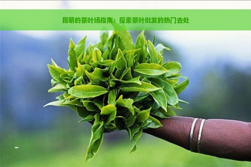 昆明的茶叶场指南：探索茶叶批发的热门去处