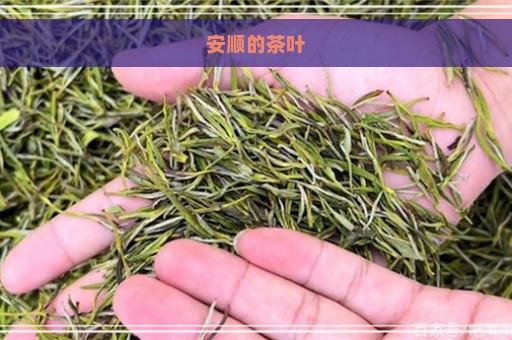 安顺的茶叶