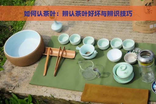 如何认茶叶：辨认茶叶好坏与辨识技巧