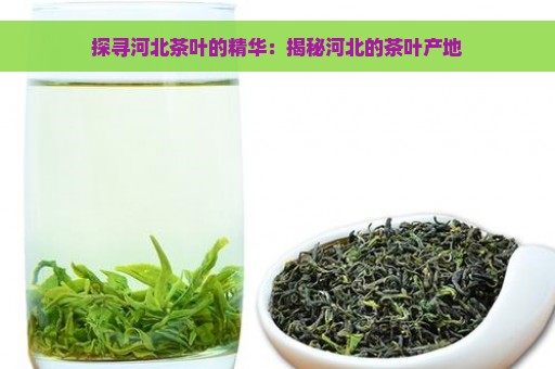 探寻河北茶叶的精华：揭秘河北的茶叶产地