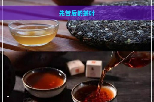 先苦后的茶叶