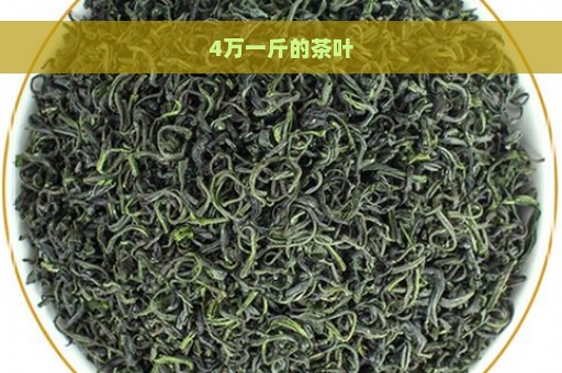 4万一斤的茶叶