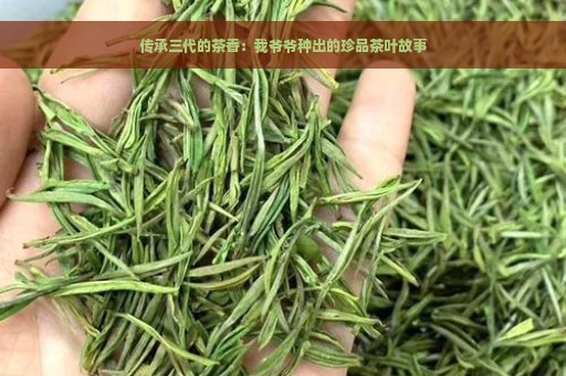 传承三代的茶香：我爷爷种出的珍品茶叶故事