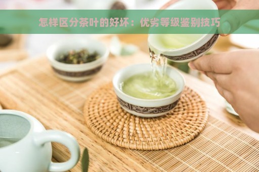 怎样区分茶叶的好坏：优劣等级鉴别技巧