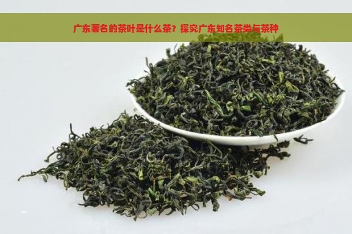 广东著名的茶叶是什么茶？探究广东知名茶类与茶种