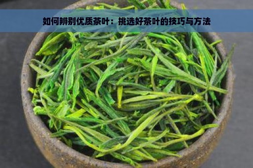 如何辨别优质茶叶：挑选好茶叶的技巧与方法