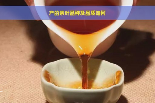 产的茶叶品种及品质如何