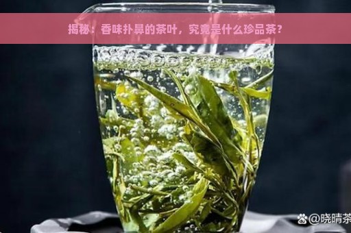 揭秘：香味扑鼻的茶叶，究竟是什么珍品茶？