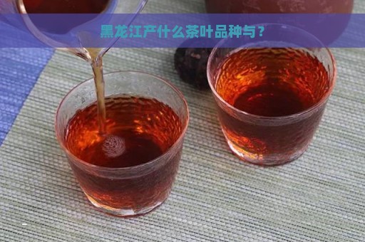 黑龙江产什么茶叶品种与？