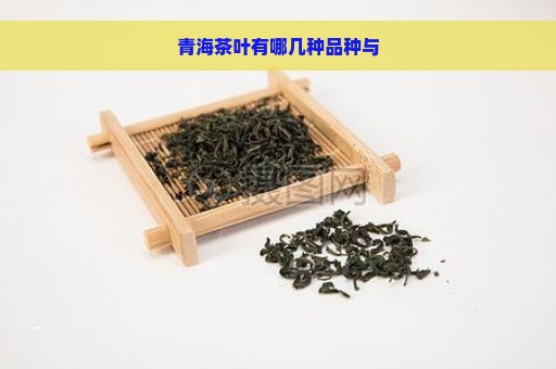 青海茶叶有哪几种品种与