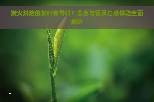 炭火烘焙的茶叶有毒吗？安全与否及口感体验全面解析