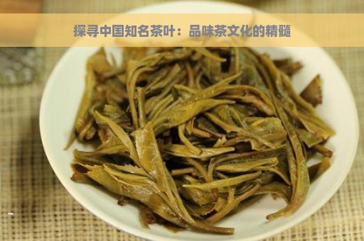 探寻中国知名茶叶：品味茶文化的精髓