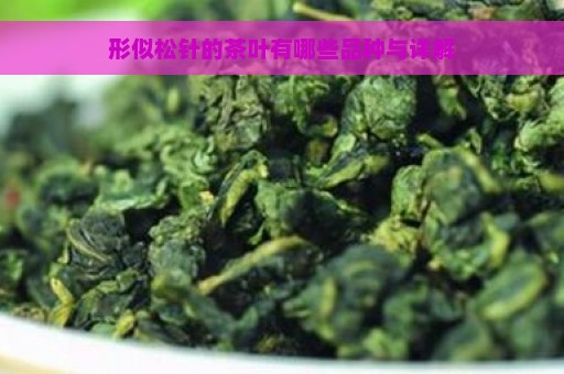 形似松针的茶叶有哪些品种与详解