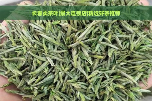 长春卖茶叶|最大连锁店|精选好茶推荐