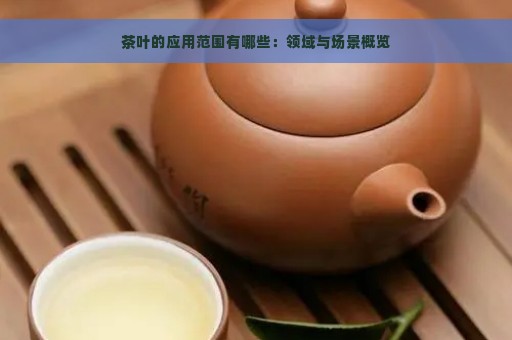 茶叶的应用范围有哪些：领域与场景概览