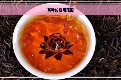 茶叶的应用范围