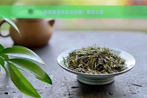 探寻茶界的至高荣耀：茶王之谜