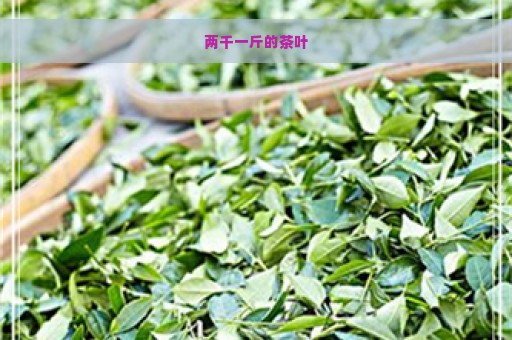 两千一斤的茶叶