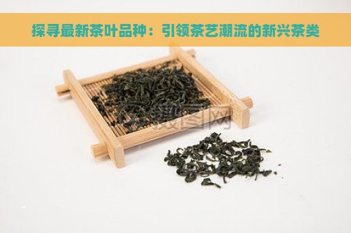 探寻最新茶叶品种：引领茶艺潮流的新兴茶类