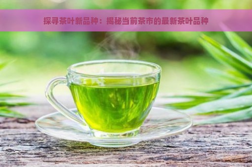 探寻茶叶新品种：揭秘当前茶市的最新茶叶品种