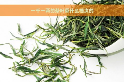 一千一两的茶叶算什么档次的