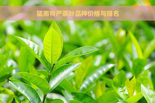 陇南特产茶叶品种价格与排名